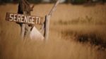 مستند-The-Serengeti-Rules