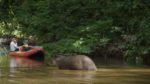 مستند-Expedition-with-Steve-Backshall