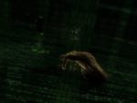 اسکرین-شات-بازی-The-Matrix-Path-of-Neo-PC