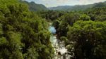 مستند-Cubas-Wild-Revolution