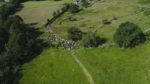 مستند-The-Great-Mountain-Sheep-Gather