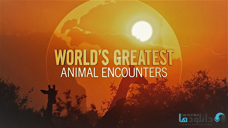 مستند-Worlds-Greatest-Animal-Encounters