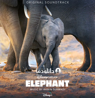 موسیقی-متن-مستند-elephant