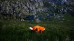 تصاویر-بازی-Spirit-of-the-North