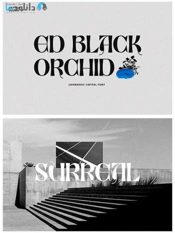 فونت-ED-Black-Orchid