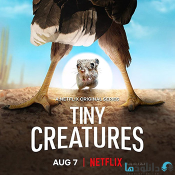 انیمیشن-Tiny-Creatures-2020