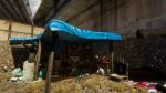 تصاویر-بازی-Hobo-Tough-Life