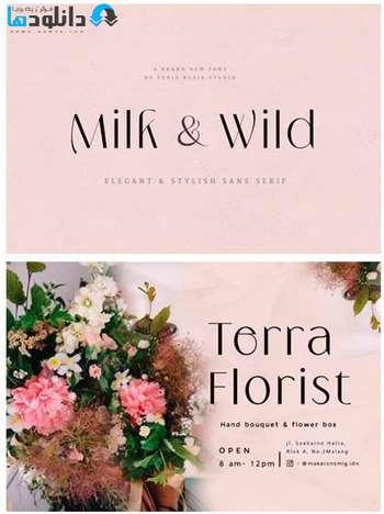 فونت-Milk-Wild-Font