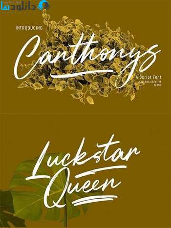 فونت-Canthonys-Font