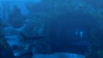 تصاویر-بازی-Tomb-Raider-Underworld