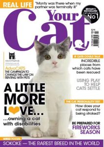 مجله-Your-Cat