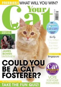 مجله-Your-Cat