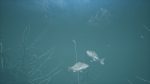تصاویر-بازی-Bassmaster-Fishing-2022