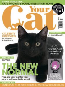 مجله-your-cat