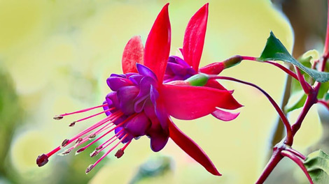 دوره-آموزشی-Understanding-Depth-Of-Field