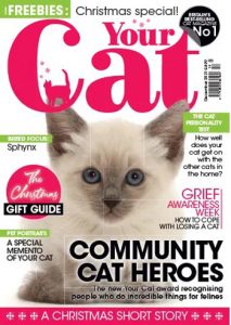 مجله-Your-Cat-Magazine