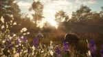 تصاویر-Mississippi-Acres-Preserve-DLC