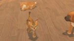 تصاویر-بازی-My-Universe-Puppies-and-Kittens