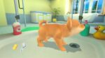 تصاویر-بازی-My-Universe-Puppies-and-Kittens