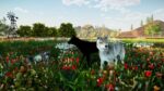 تصاویر-بازی-Animallica