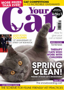 مجله-Your-Cat
