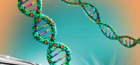 دوره-آموزشی-Introduction to Genetic Engineering
