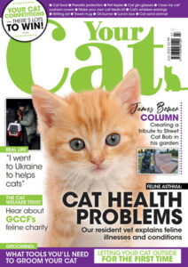 مجله-Your-Cat
