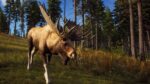 تصاویر-بازی-Way-of-the-Hunter