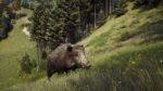 تصاویر-بازی-Way-of-the-Hunter
