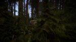 تصاویر-بازی-Sons-Of-The-Forest