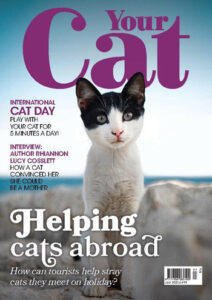 مجله-Your-Cat