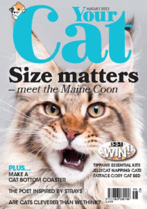 مجله-Your-Cat