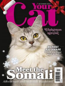 مجله-Your-Cat