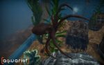 اسکرین-شات-بازی-Aquarist