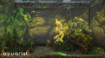 اسکرین-شات-بازی-Aquarist