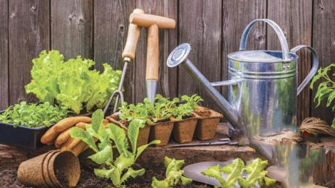 دوره-آموزشی-Gardening-and-Herb-Mastery