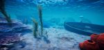 تصاویر-بازی-Project-Castaway