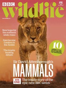 مجله-bbc-wildlife