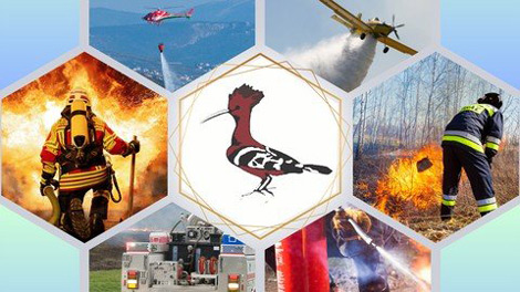 دوره-آموزشی-Fire-Skills-For-Conservationists