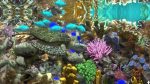 تصاویر-بازی-Behind-Glass