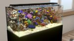 تصاویر-بازی-Behind-Glass