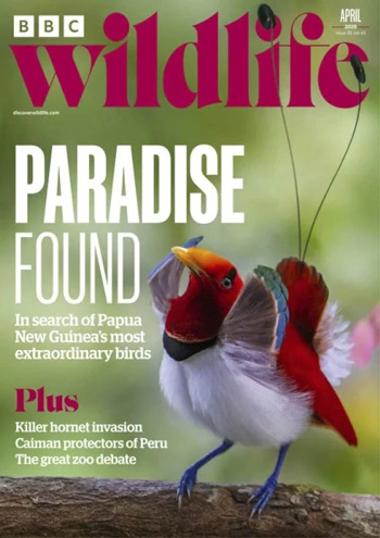 مجله-BBC-Wildlife