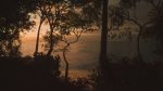 تصاویر-بازی-Lushfoil-Photography-Sim