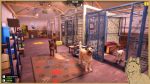 تصاویر-بازی-Animal-Shelter-2