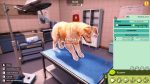 تصاویر-بازی-Animal-Shelter-2
