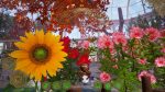 تصاویر-بازی-Bee-Simulator-The-Hive