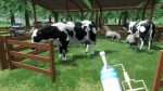 تصاویر-بازی-Ranch-Farm-and-Store-Simulator
