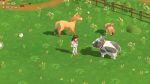 تصاویر-بازی-Harvest-Moon-Home-Sweet-Home