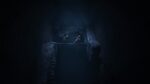 تصاویر-بازی-REANIMAL-The-Prisoner